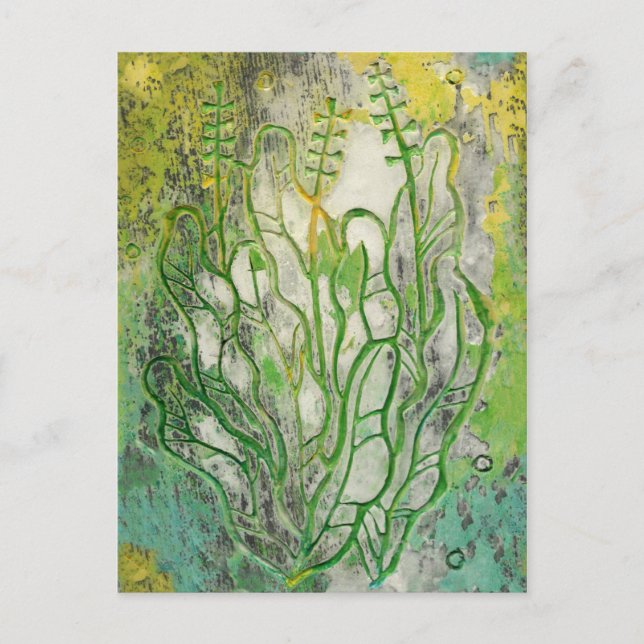 Carte Postale Herbes d'été Fleurs sauvages Abstrait Botanique Fl (Devant)