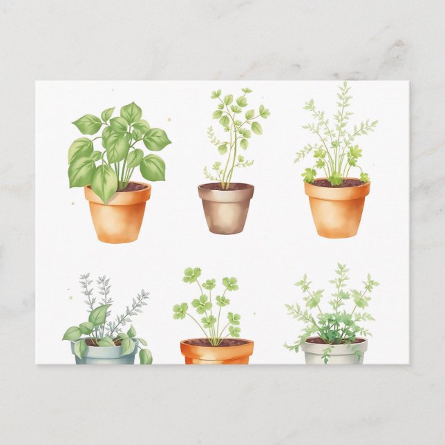 Carte Postale Herbes en pot à l'aquarelle sur fond crème (Devant)