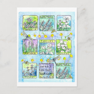 Carte Postale Herbes Jardin Dragonlies Miel Abeilles Aquarelle