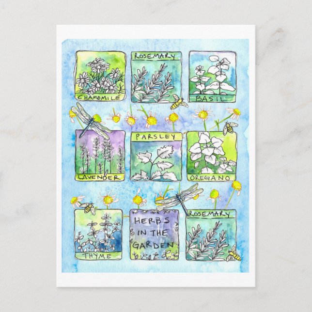 Carte Postale Herbes Jardin Dragonlies Miel Abeilles Aquarelle (Devant)