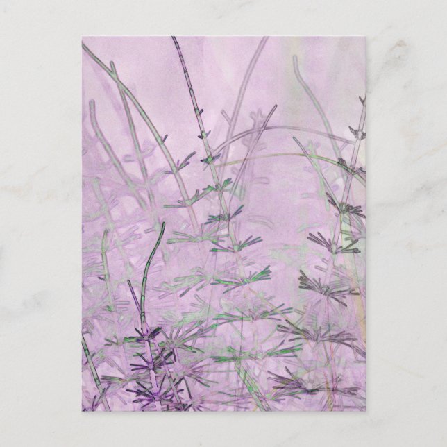 Carte Postale Herbes/tiges de corail (Devant)