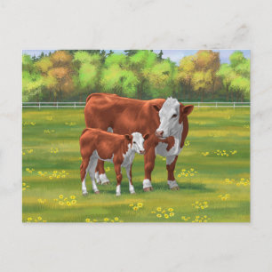 Carte Postale Hereford Cow & Cute Calf dans les pâturages d'été