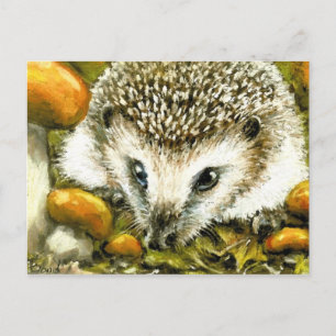 Carte postale Hérisson