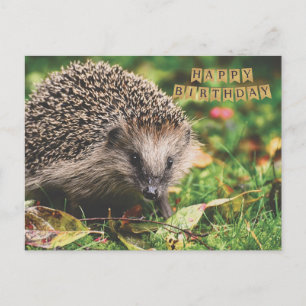 Carte Postale Hérisson de forêt mignon joyeux anniversaire