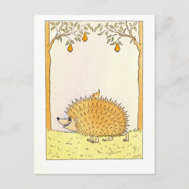 Carte Postale "Hérisson - Illustration Vintage (Devant)