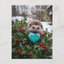 Hérisson mignon de décembre avec cœur turquoise