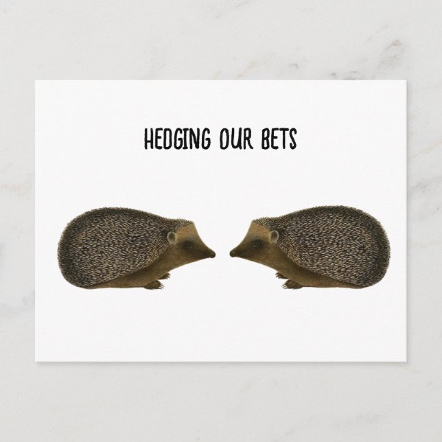 Carte Postale Hérisson se marier - Funny mariage de Hérisson (Devant)