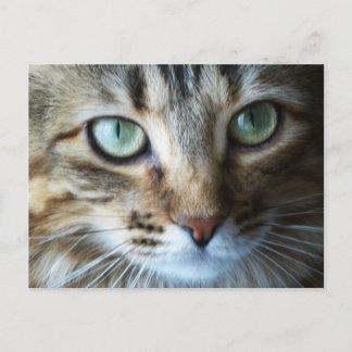 Carte Postale Hermione en haut