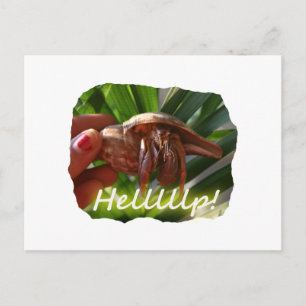 Carte Postale Hermit Crab et Aide texte, drôle de dessin animal