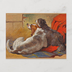 Carte Postale Herring - Une Hound et un Collie harangé,