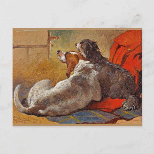 Carte Postale Herring - Une Hound et un Collie harangé, (Devant)