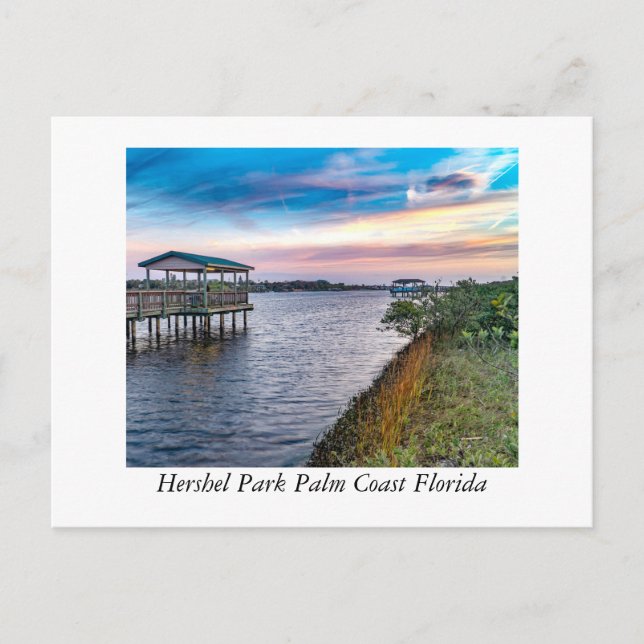Carte Postale Hershel Park Palm Coast Floride (Devant)