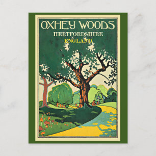 Carte Postale Hertfordshire, Oxley Woods, Angleterre
