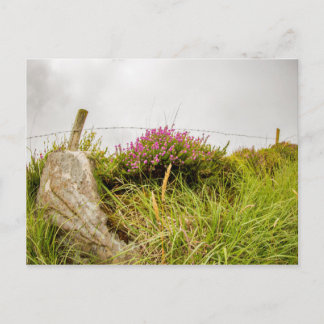Carte postale "Hétéro"