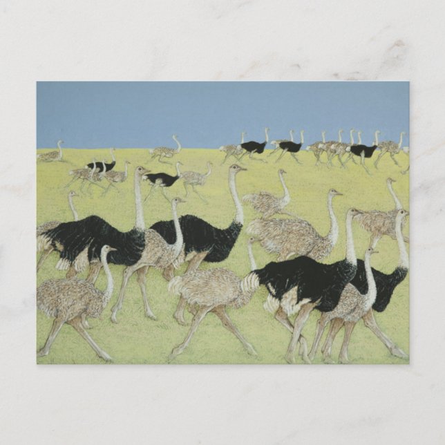 Carte Postale Heure de pointe 2 (Devant)