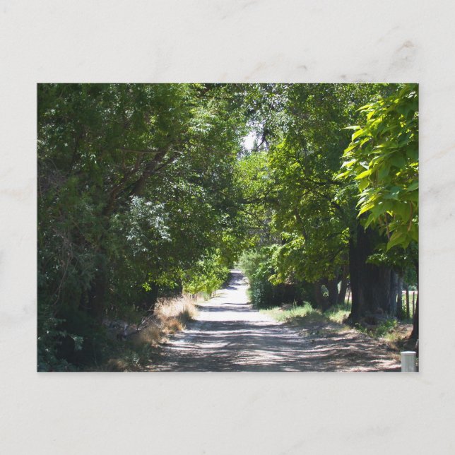 Carte Postale Heure d'été (Devant)