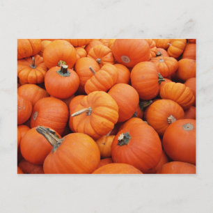 Carte Postale Heure du citrouille