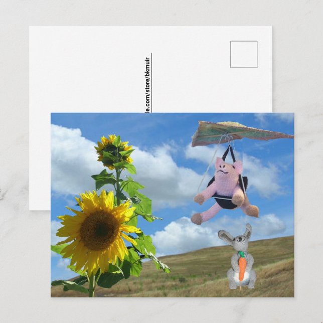 Carte postale - Heureux amis sur Hill (Devant / Derrière)