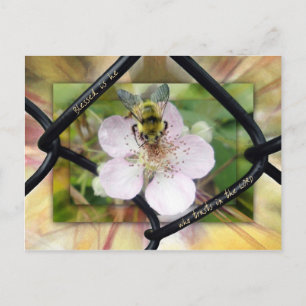 Carte Postale Heureux celui qui fait confiance à l'Éternel