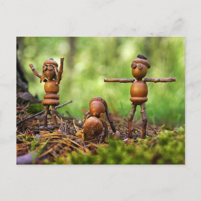 Carte Postale Heurtage matinal au camping (Devant)