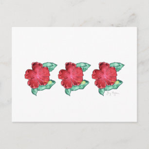 Carte postale Hibiscus