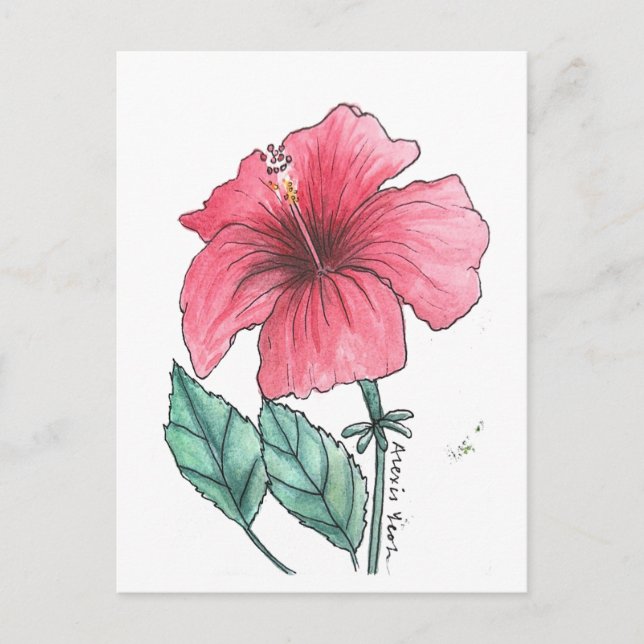 carte postale hibiscus (Devant)