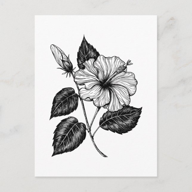 Carte Postale Hibiscus fleur II (Devant)