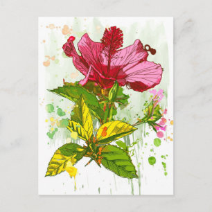 Carte Postale Hibiscus flower - watercolor paint
