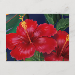 Carte postale Hibiscus Paradis tropical