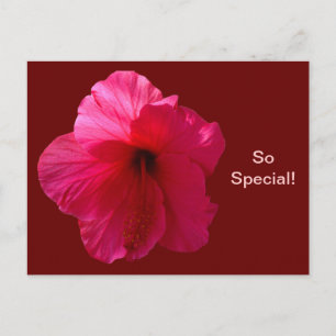 Carte Postale Hibiscus rose