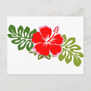 Carte Postale Hibiscus rouge et Feuilles