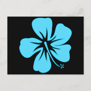 Carte Postale Hibiscus turquoise
