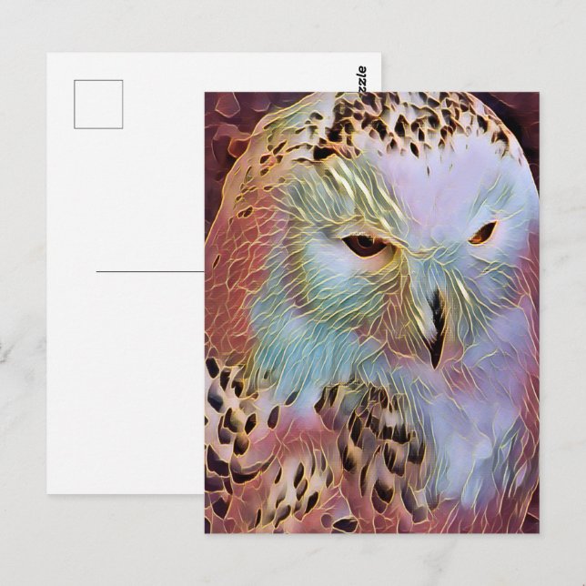 CARTE POSTALE HIBOU (Devant / Derrière)