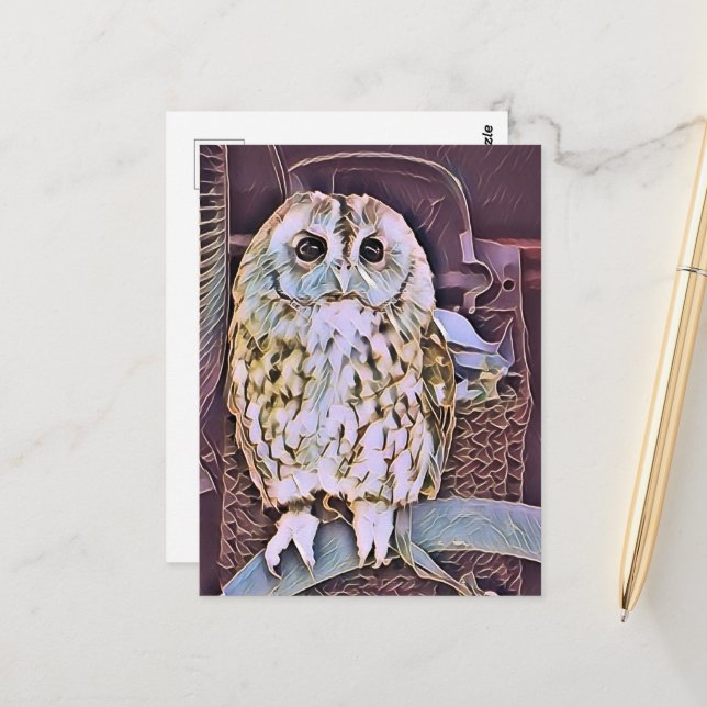 CARTE POSTALE HIBOU (Devant/Arrière en situation)