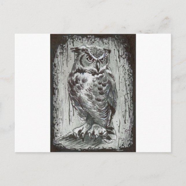 Carte Postale Hibou (Devant)