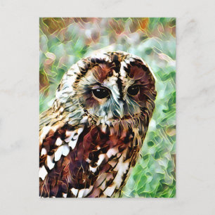 CARTE POSTALE HIBOU