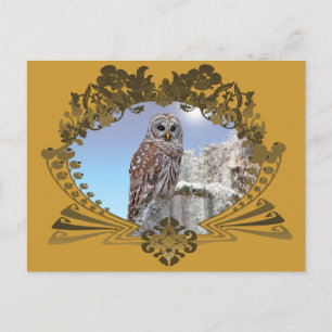 Carte Postale Hibou