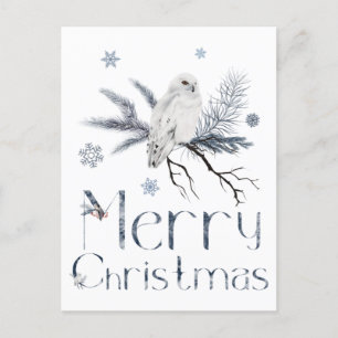 Carte Postale Hibou Blanc Sur Une Branche De Pin