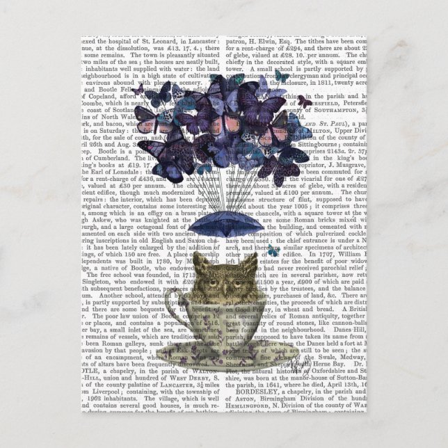 Carte Postale Hibou Dans La Teacup (Devant)