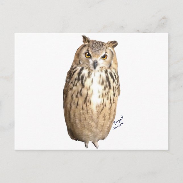 Carte Postale Hibou de l'aigle (Devant)