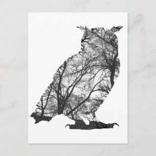 Carte Postale Hibou de l'aigle arbres forestiers