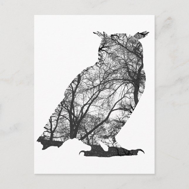 Carte Postale Hibou de l'aigle arbres forestiers (Devant)