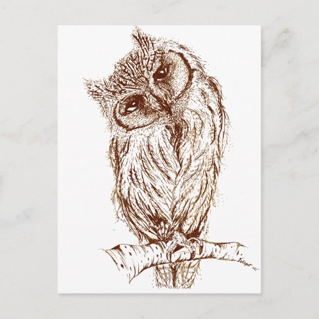 Carte Postale Hibou de Scops par Inkspot (Devant)