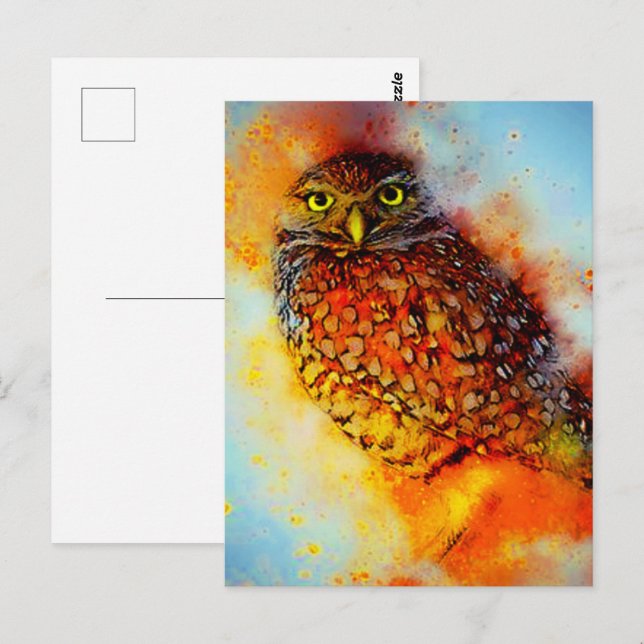 Carte Postale Hibou éclaboussé (Devant / Derrière)