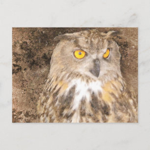 Carte Postale Hibou grand-duc sur fond robuste
