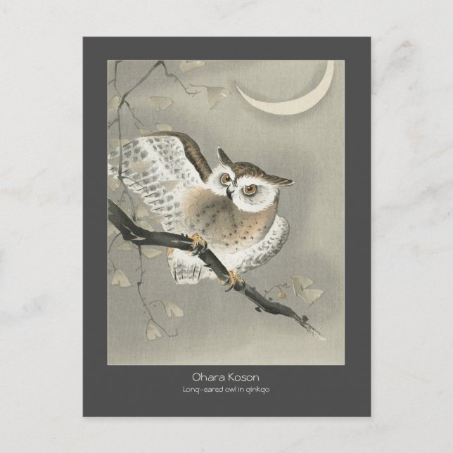 Carte Postale Hibou moyen-duc dans un ginkgo - Charbon de bois - (Devant)