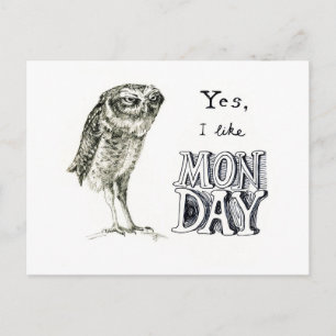 Carte Postale hibou sarcastique