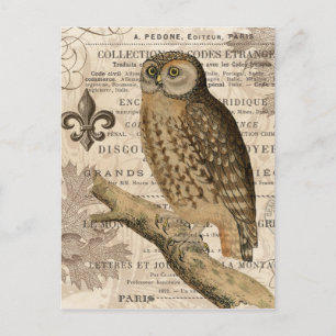 Carte Postale hibou vintage