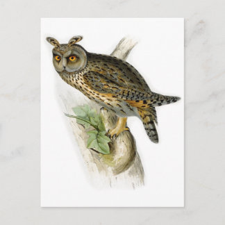 Carte Postale hibou vintage à longues oreilles asio otus