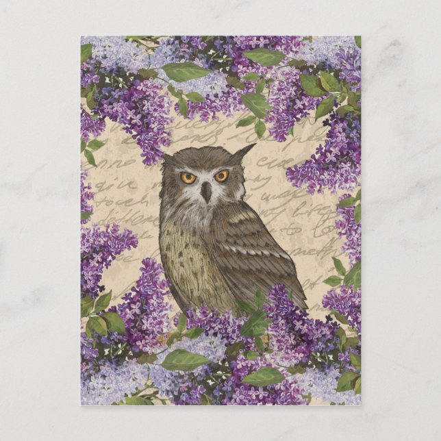 Carte Postale hibou vintage et lilas (Devant)